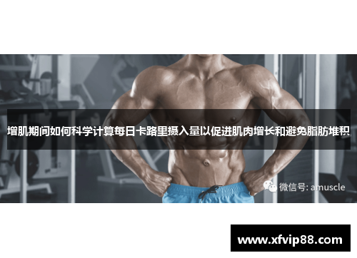 增肌期间如何科学计算每日卡路里摄入量以促进肌肉增长和避免脂肪堆积