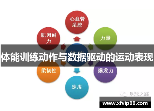 体能训练动作与数据驱动的运动表现